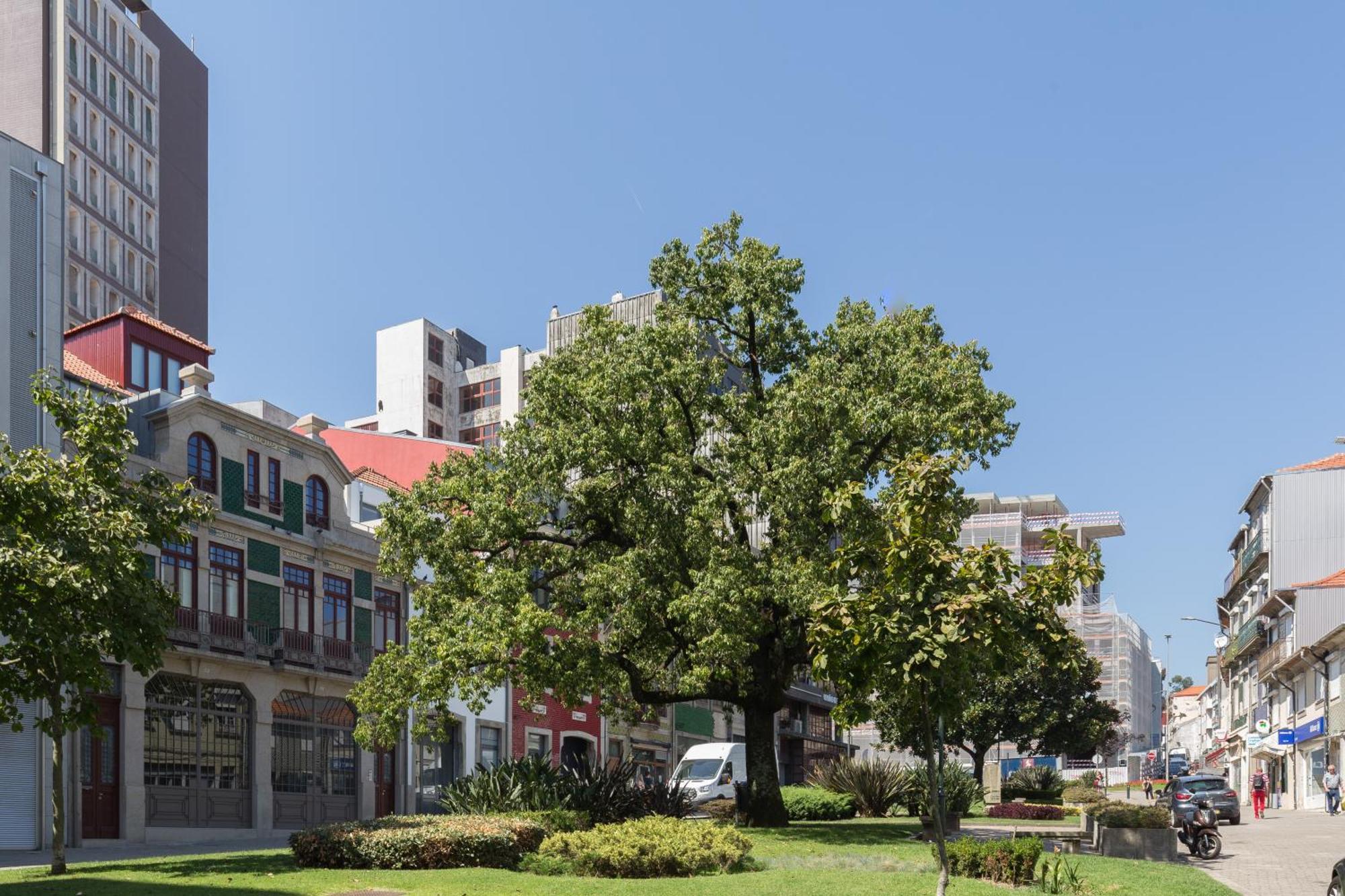 Qp Apartments Trindade Porto Eksteriør bilde